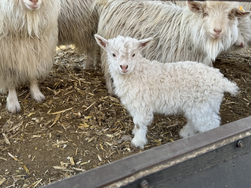 121757645182745241.jpg 微信圖片_2025-09-01_150022_279(2).jpg