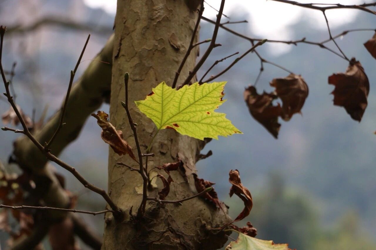 051764919730183727.jpg 微信圖片_20251201114255.jpg