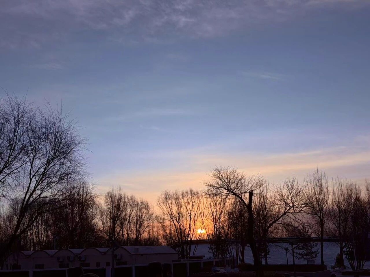 311769821411101830.jpg 微信圖片_2026-01-31_090310_011.jpg