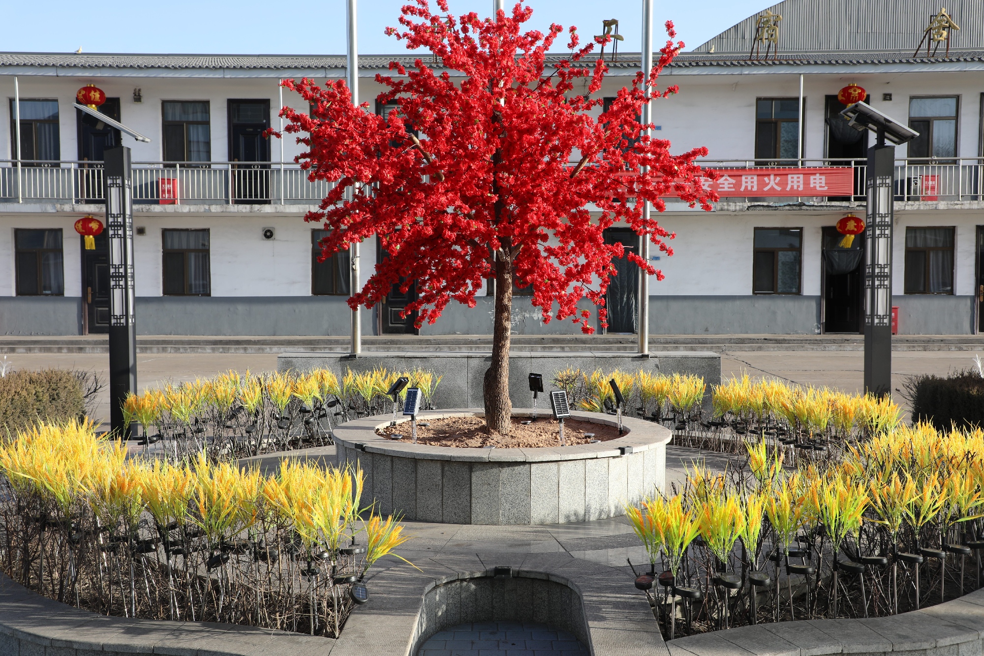 161771219342154198.jpg 微信圖片_20260216131117_948_523(1).jpg